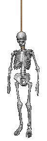 Look what they did to me!